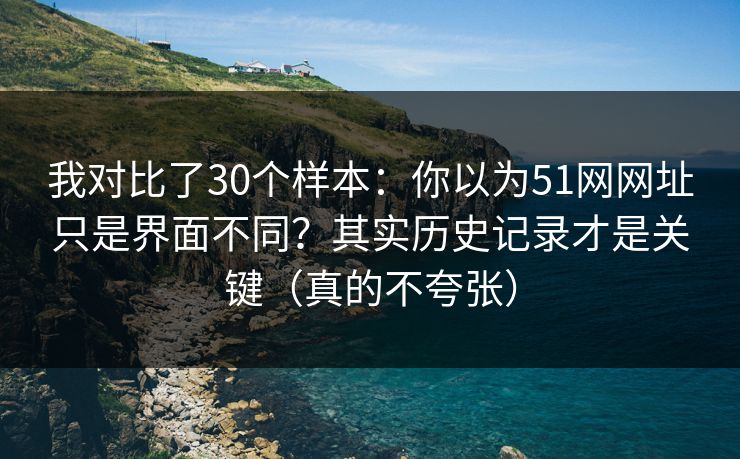 我对比了30个样本：你以为51网网址只是界面不同？其实历史记录才是关键（真的不夸张）