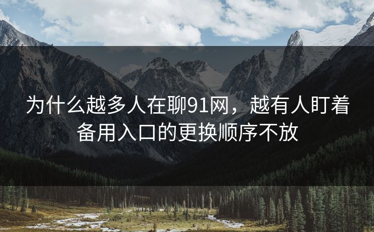为什么越多人在聊91网，越有人盯着备用入口的更换顺序不放